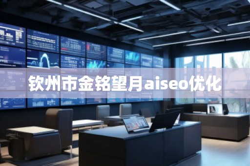 钦州市金铭望月aiseo优化